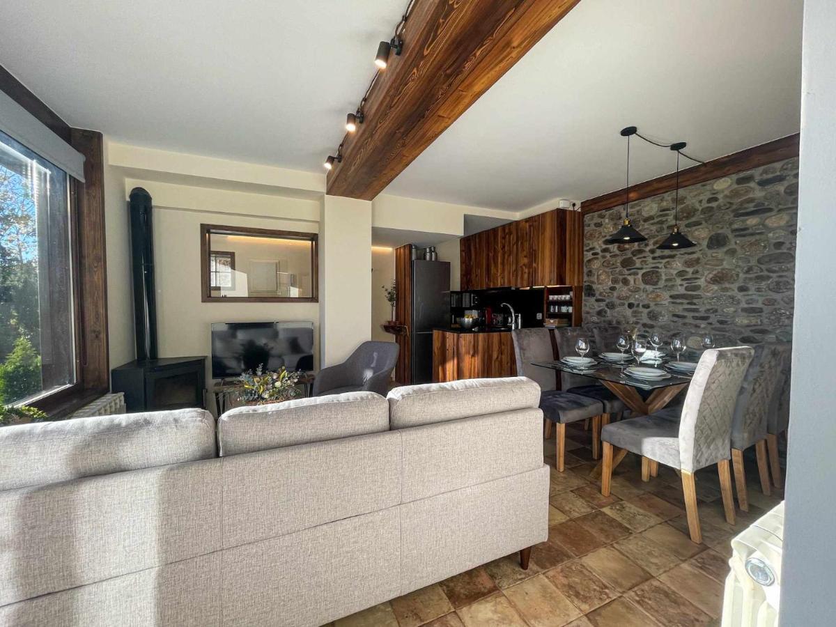 Puigcerda Cal Gatesques 4 Appartement Buitenkant foto